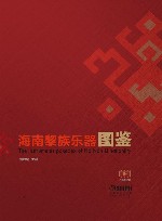 黎族乐器图鉴 封面