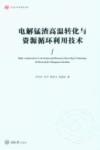 弘深科学技术文库 电解锰渣高温转化与资源循环利用技术 封面