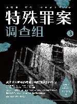 特殊罪案调查组  3 封面
