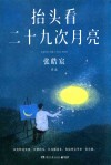 抬头看二十九次月亮 封面