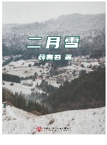 二月雪 封面