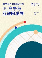 中美及全球视角下的IP、竞争与互联网发展 封面