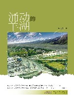 涌动的羊湖 封面