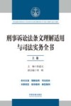 刑事诉讼法条文理解适用与司法实务全书  上 封面