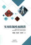 实用肛肠疾病图谱 封面