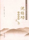 中医理论传承丛书  沈绍功学术传承文集 封面