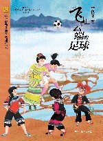 飞上云端的足球 封面