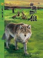 会跳舞的狼 封面