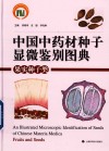 中国中药材种子显微鉴别图典果实种子类 封面