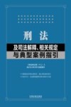 刑法及司法解释相关规定与典型案例指引 封面