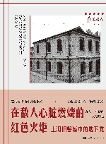 在敌人心脏燃烧的红色火炬 封面