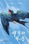 母亲的眼泪 封面