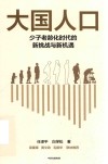 大国人口  少子老龄化时代的新挑战与新机遇 封面