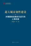 超大城市韧性建设 关键基础设施安全运行的上海实践 封面