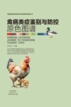 畜禽疾病类症鉴别与防控原色图谱丛书  禽病类症鉴别与防控原色图谱 封面