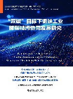 双碳目标下钢铁工业降碳减污协同发展研究 电子书封面
