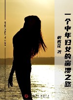 一个中年妇女的崩溃之路 封面