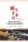 额尔齐斯河流域生态保护修复与区域高质量发展战略研究 封面