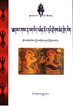 佐钦曲洋多丹多吉文集 封面