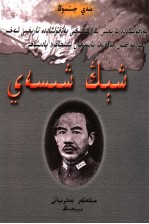 盛世才外传 封面