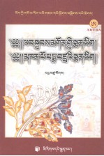 赖杰贡医著·班玛折扎医著 藏文 封面
