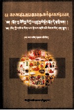 藏医药学梵藏对照辞典 封面