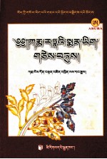 嘎玛冉纳医著选集 藏文 封面