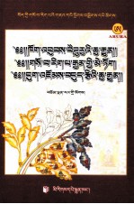 医史蓝琉璃源流 医学饰花 医学秘方·戒毒甘露 封面