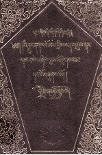 白琉璃论除疑 上 藏文 封面