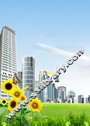 王维诗选:四僧插图版