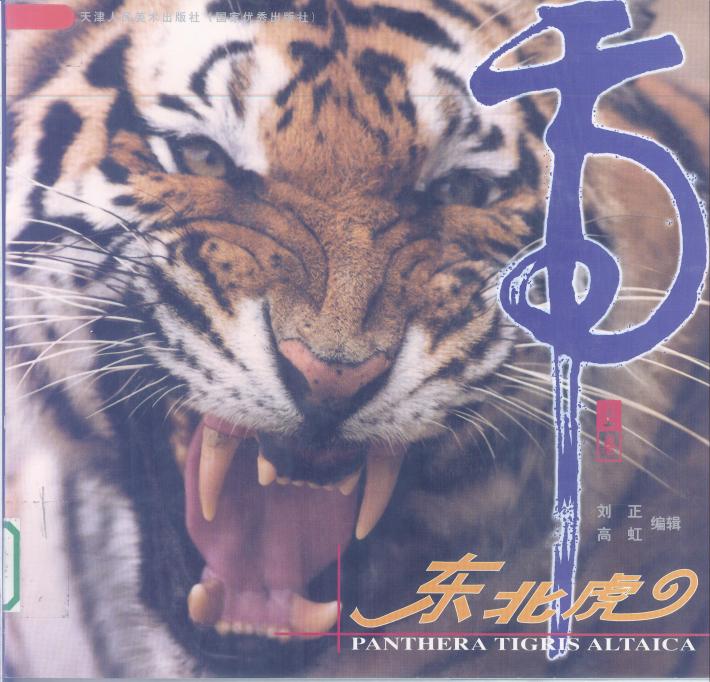 东北虎 下 封面