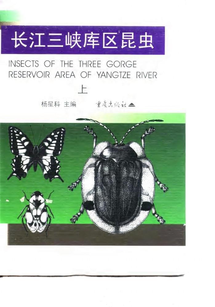 长江三峡库区昆虫  下 封面