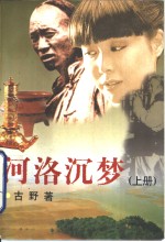 河洛沉梦  下 封面