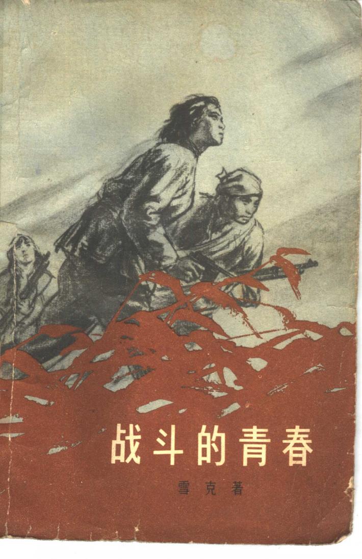 战斗的青春  下 封面
