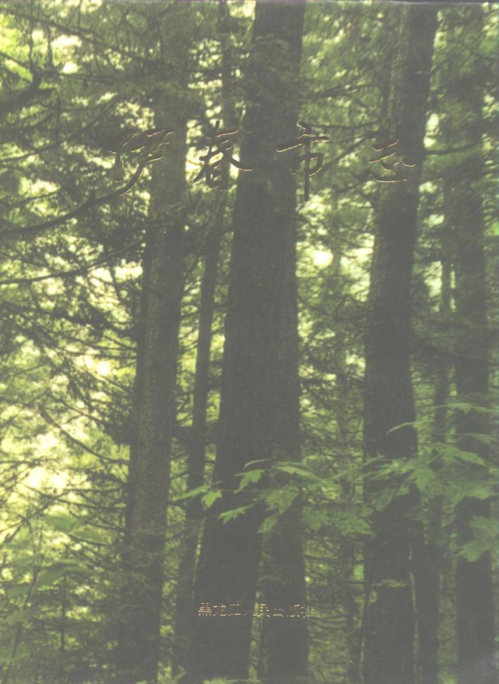 伊春市志  中 封面