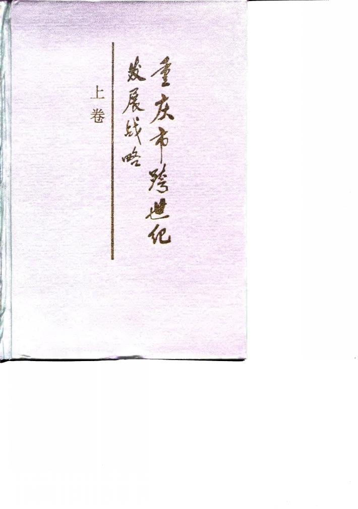 重庆市跨世纪发展战略 封面