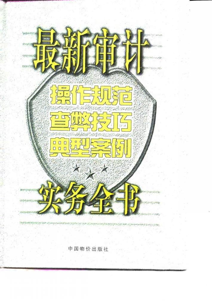 最新审计  操作规范  查弊技巧  典型案例实务全书  下 封面
