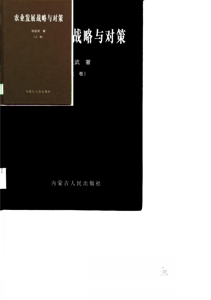 农业发展战略与对策  下 封面