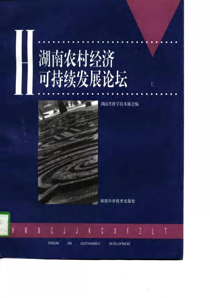 湖南农村经济可持续发展论坛  下 封面