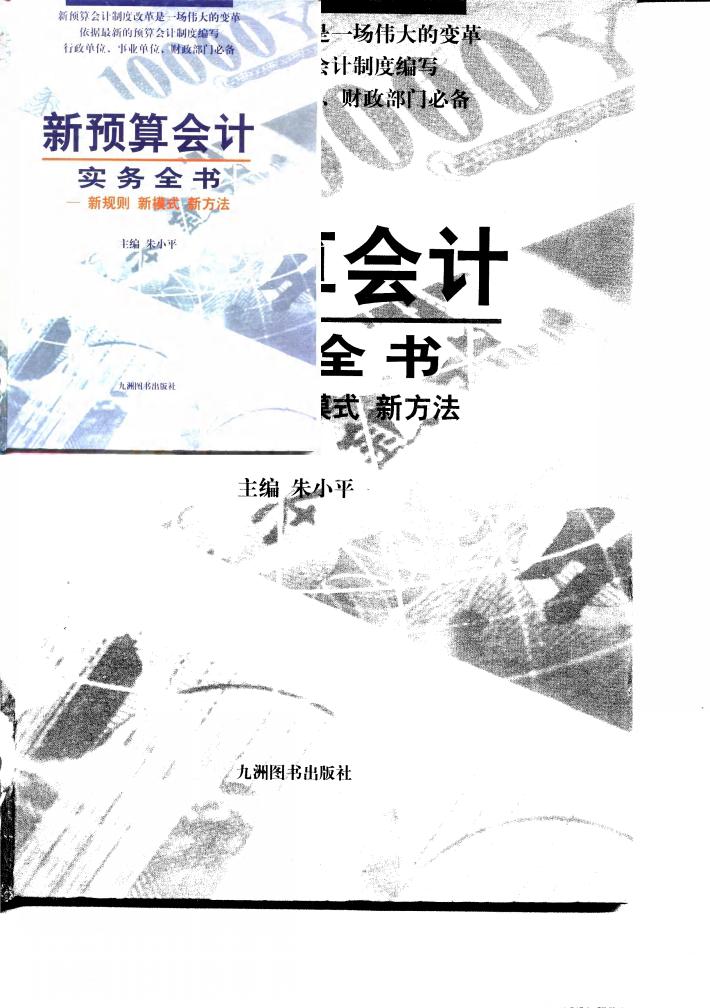 新预算会计实务全书  新规则  新模式  新方法  下 封面