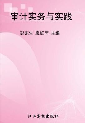 审计实务与实践 封面