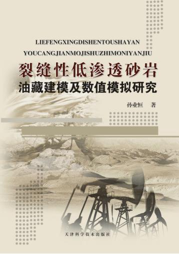 裂缝性低渗透砂岩油藏建模及数值模拟研究 封面