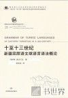 十至十三世纪新疆突厥语文献语言语法概论 封面