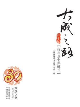 大成之路  我与企业共成长 封面