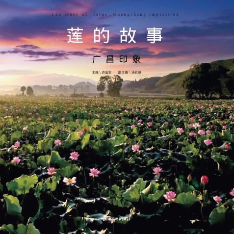 莲的故事  广昌印象 封面