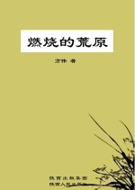 燃烧的荒原 封面