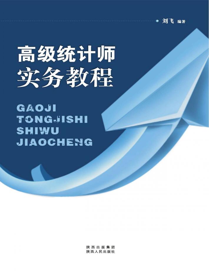 高级统计师实务教程 封面