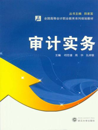 审计实务 封面