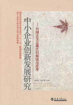 中小企业创新发展研究：对湖北玉立模式的解读与思考 封面