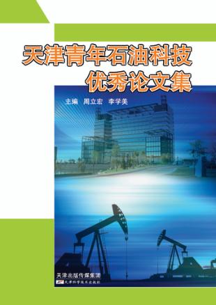 天津青年石油科技优秀论文集 封面
